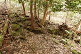 伯耆 岩倉城の写真
