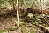 伯耆 岩倉城の写真