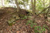 伯耆 岩倉城の写真