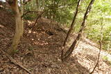 伯耆 岩倉城の写真