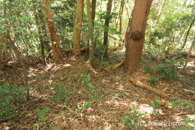 伯耆 蛇山城(倉吉湯梨浜境)の写真