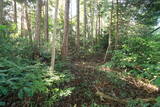 伯耆 蛇山城(倉吉湯梨浜境)の写真