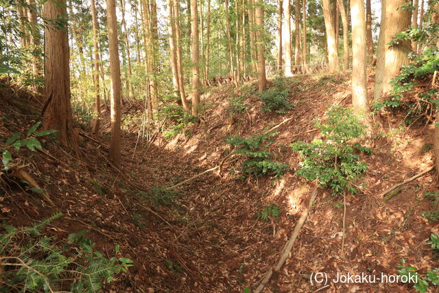 伯耆 山王城の写真