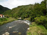 伯耆 亀井山城の写真