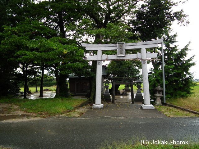 伯耆 河岡城の写真