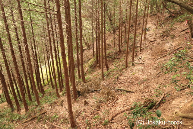 伯耆 妙見山城の写真