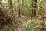 伯耆 田内城の写真