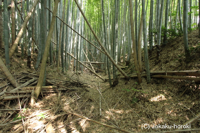 伯耆 槻下豪族館の写真