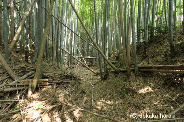 伯耆 槻下豪族館の写真