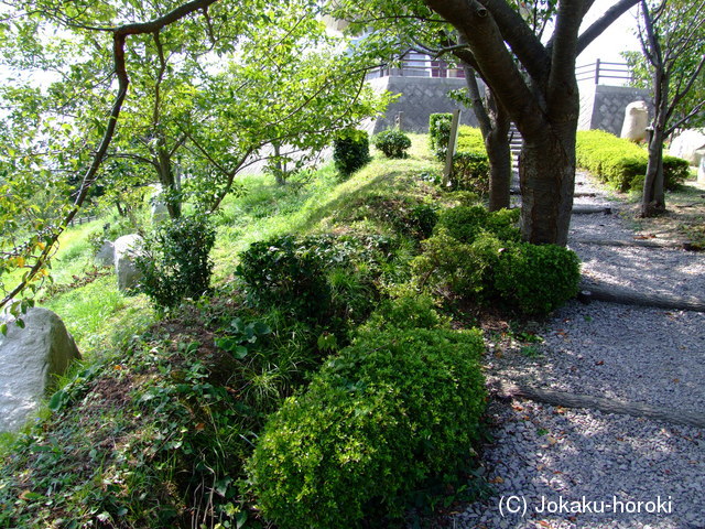 伯耆 馬の山の砦の写真