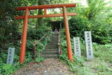伯耆 八橋城の写真
