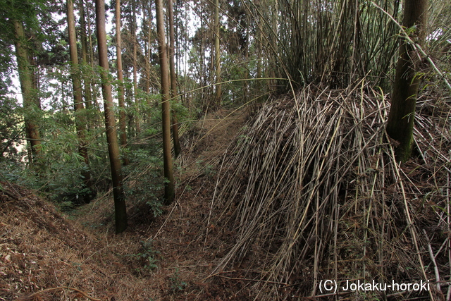 日向 有嶺城の写真