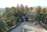 日向 綾城の写真