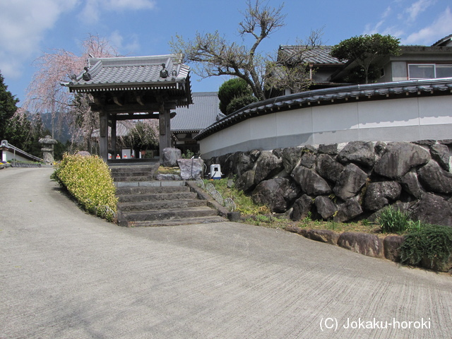 日向 八戸城の写真