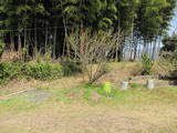 日向 八戸城の写真