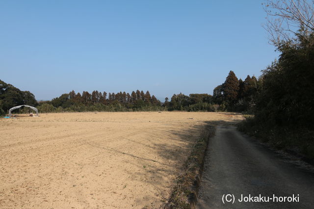 日向 平八重城の写真