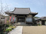 日向 本村城の写真