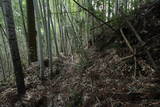 日向 飯野城の写真