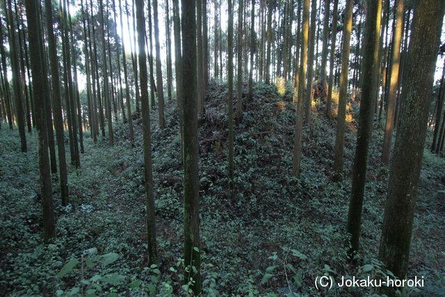 日向 池平城の写真