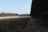 日向 井ノ城の写真