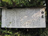 日向 井上城の写真