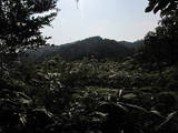 日向 井上城の写真