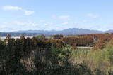 日向 石野田城の写真