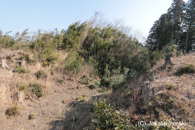 日向 石山城の写真