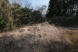 日向 石山城の写真
