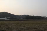 日向 柿ノ木城の写真