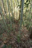 日向 加久藤城の写真