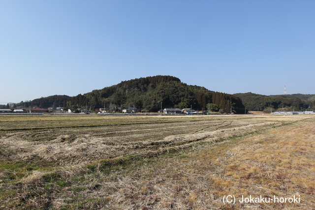 日向 木脇城の写真