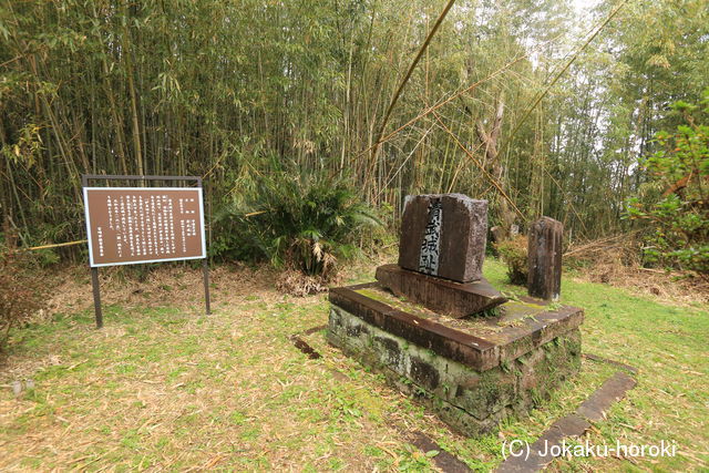 日向 清武城の写真