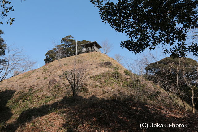 日向 木場城の写真