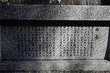 日向 黒貫城の写真