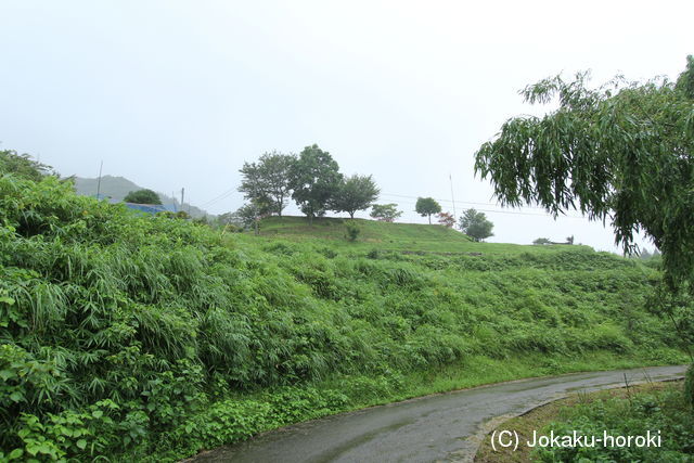 日向 仲山城の写真