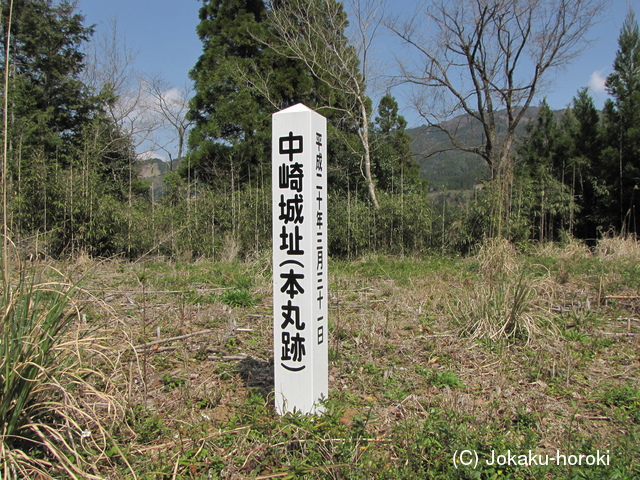 日向 中崎城の写真