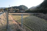 日向 奈佐木城の写真