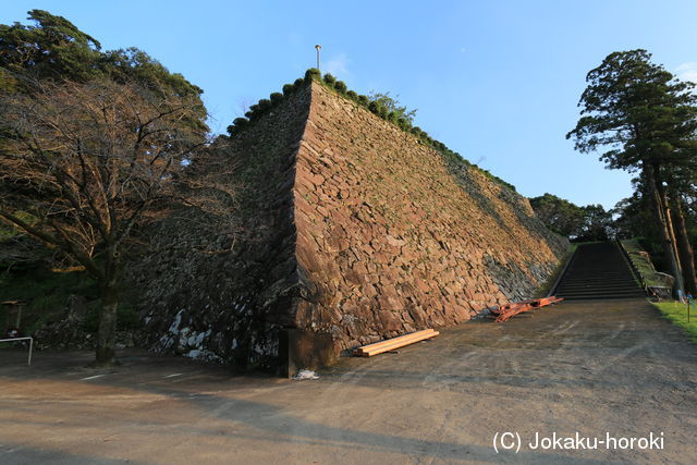 日向 延岡城の写真