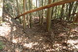 日向 野尻城の写真