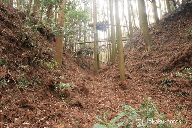 日向 野首城の写真