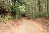 日向 野首城の写真
