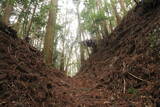 日向 野首城の写真