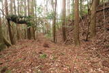 日向 野首城の写真