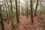 日向 野首城の写真