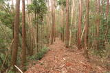 日向 野首城の写真