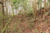 日向 野首城の写真