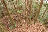 日向 野首城の写真