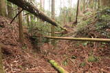 日向 野首城の写真