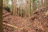日向 野首城の写真